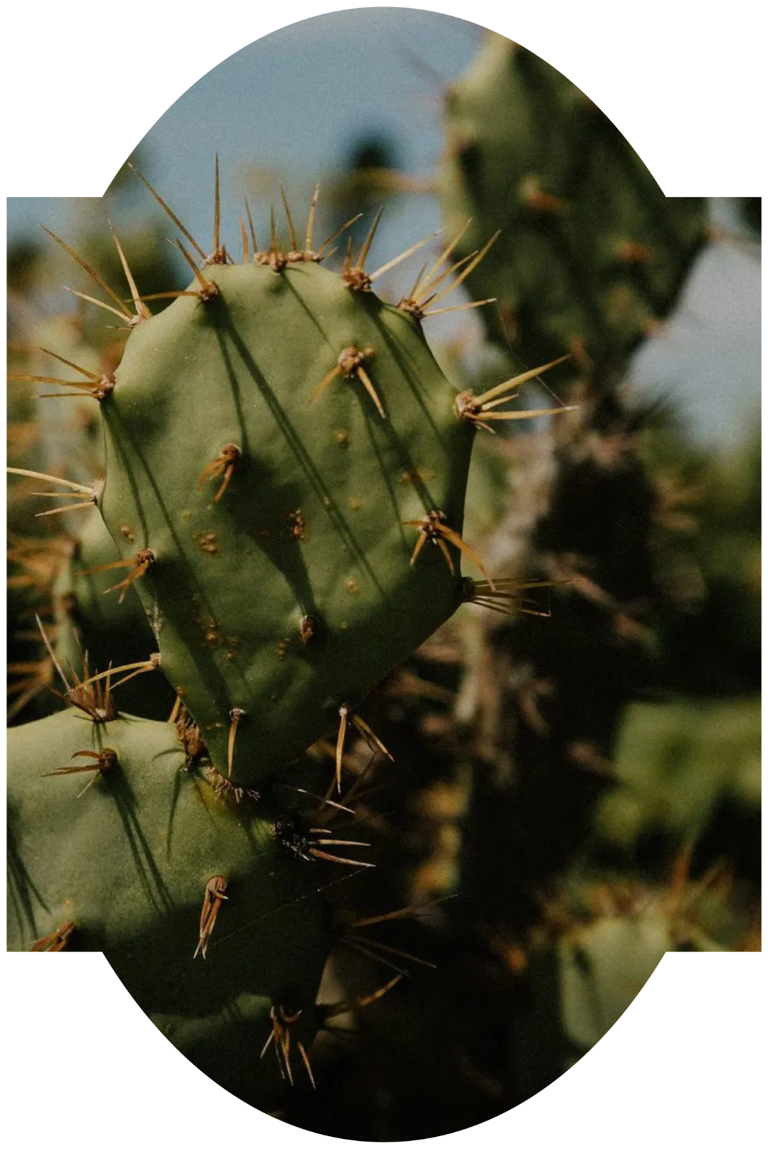 BYNOMADS window for Sayf in Marrakech